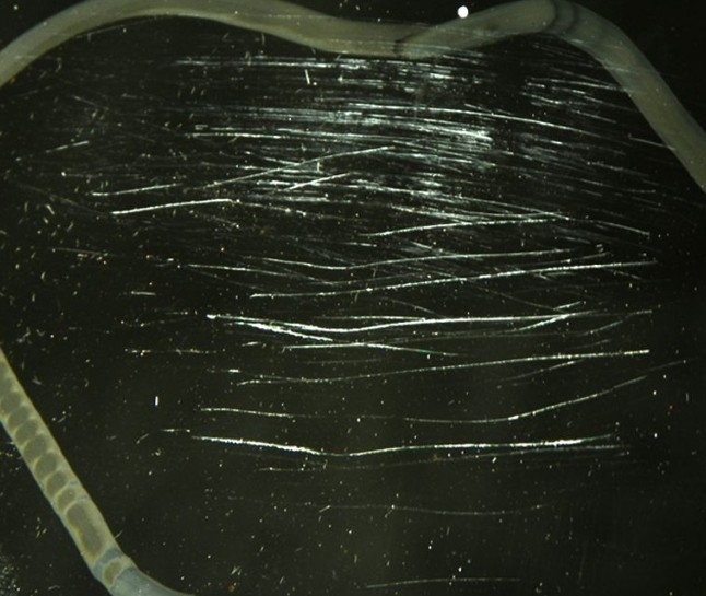 如何去掉透明有機玻璃制品的細小劃痕？