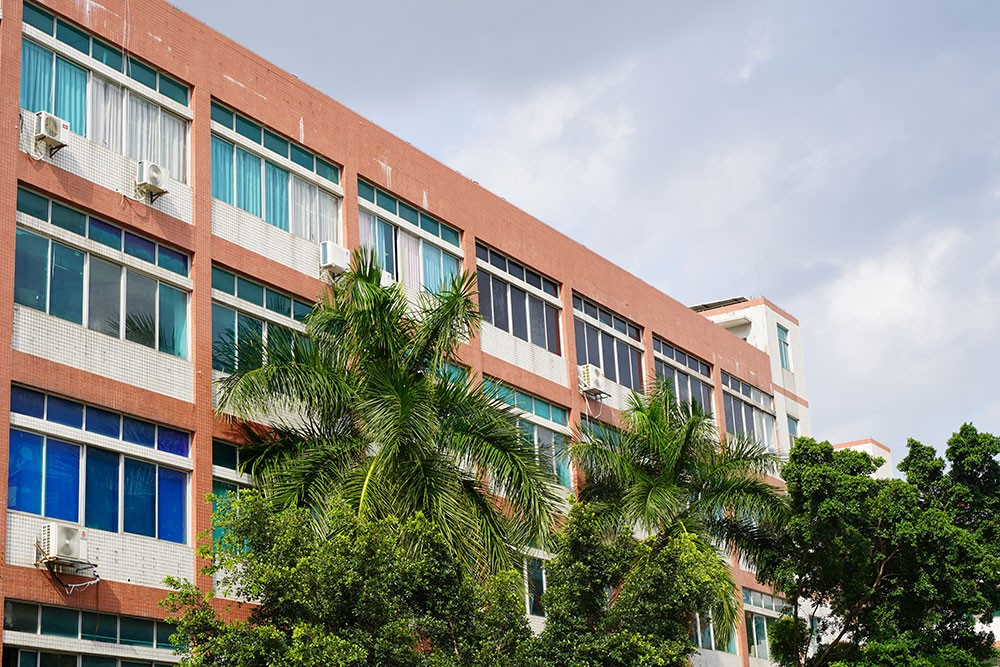 破冰夏日，聚力前行——員工趣味運動會全記錄