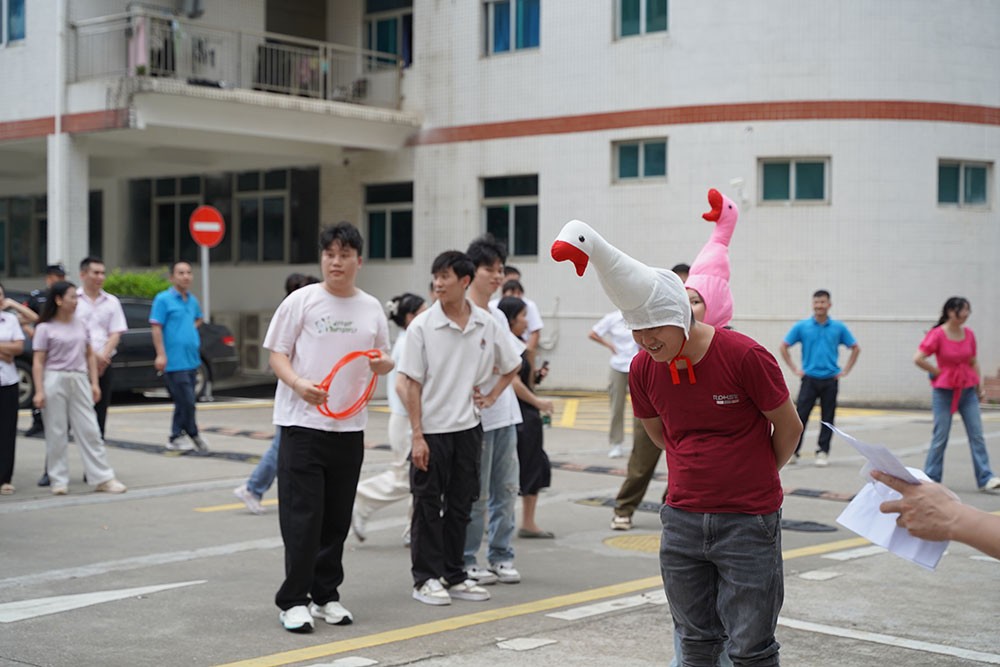 趣味活動套大鵝3